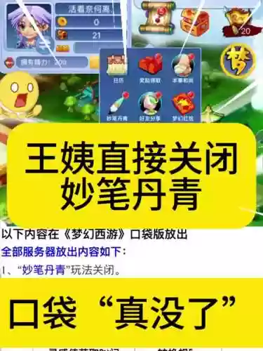 梦幻西游口袋进不去了,梦幻西游端游口袋插图1 梦幻西游口袋进不去了,梦幻西游端游口袋插图1